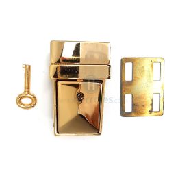 2839 CHAPA DORADO FINO